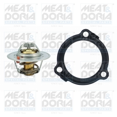 Thermostat, coolant